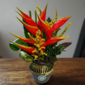 tropica