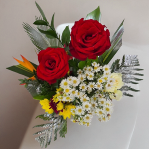 aster blanc