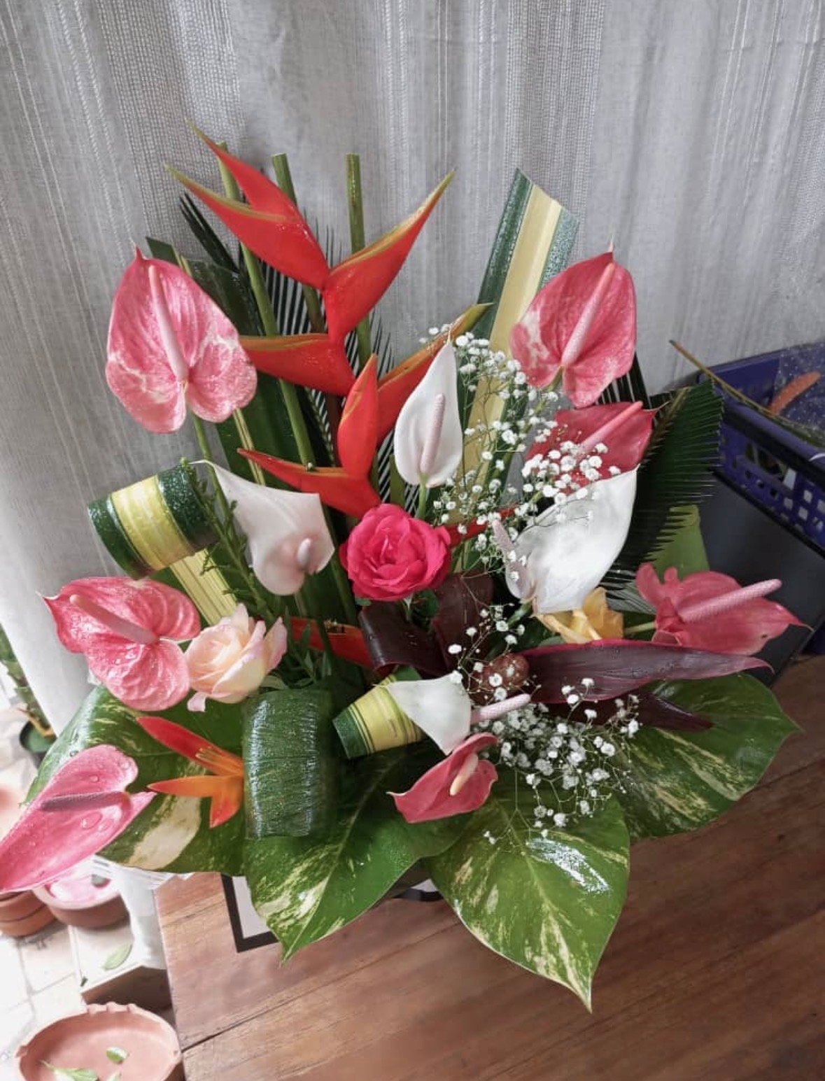 roses rouges roses rouges